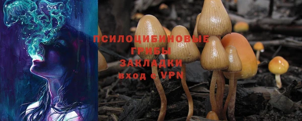 метадон Козловка